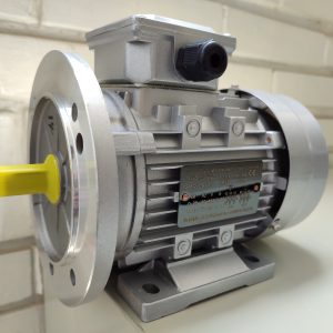 Motor trifasico 0.25kW Voltron