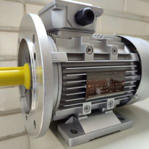 Motor trifasico 1.1 kW Voltron